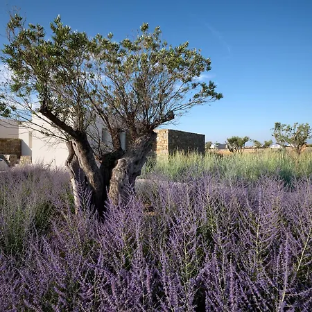 Rojo Villa Santa Maria (Paros)