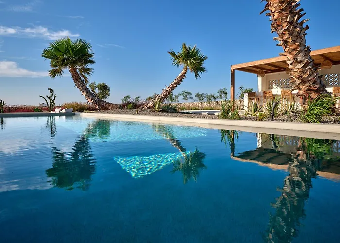 Rojo * Szánda María