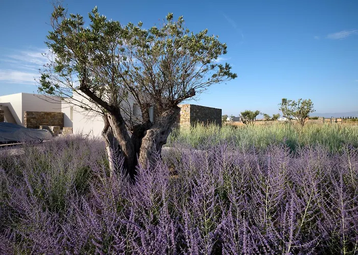 Rojo Villa Santa Maria (Paros)